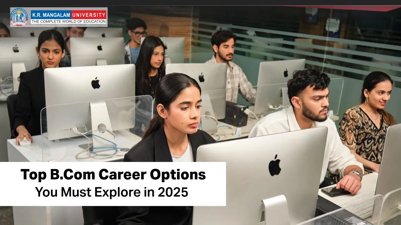 BCom Career Options