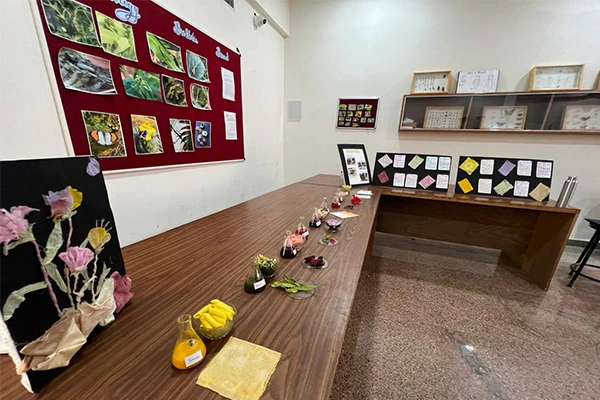 extraction of natural dye